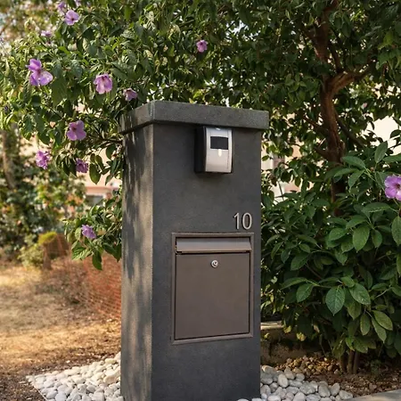 With Pool ホームステイ